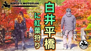 【女性ライダー】ねーさんと行く！今年もみんなで紅葉狩り〜白井平橋【motovlog】