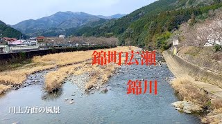 清流 錦川の町　「岩国市北部 錦町広瀬」　鯉のいる風景