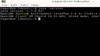How to view java version in Linux Shell terminal