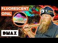 Rod And JC Unearth Valuable Crystal Opal While Blacklight Mining | Opal Hunters Red Dirt Road Trip