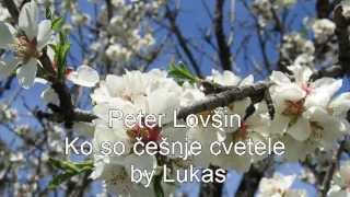 Pero Lovšin-Ko so češnje cvetele (HQ) by Lukas