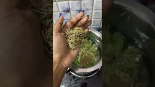 rosemary for hair growth