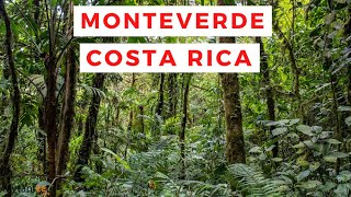 See the AMAZING Monteverde Cloud Forest in Costa Rica!