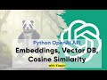 What Are Embeddings in Python OpenAI?
