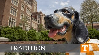 Smokey Statues Unveiled Across Campus