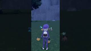 デデンネを眺めるだけの動画【ポケモンsv】