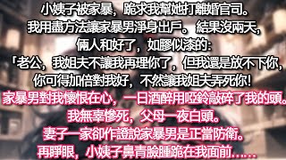 【完结文】《送老婆全家蹲局子》小姨子被家暴，跪求我幫她打離婚官司。 我用盡方法讓家暴男淨身出戶。 結果沒兩天，倆人和好了，如膠似漆的：「老公，我姐夫不讓我再理你了，但我還是放不下你#推文