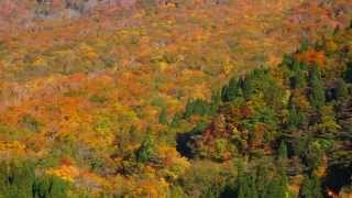 鍵掛峠から見た大山の紅葉（ズーム）