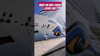 What an Aida Cruise looks like #cruisebuoys #aida