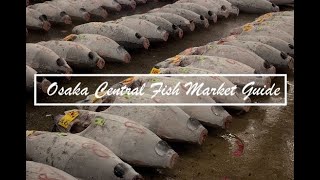 Osaka Central Fish Market Guide: Tuna Auction