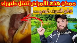 اسباب التسيف وعلاجه طبيعي ان شاءالله عند الكناري و الحسون