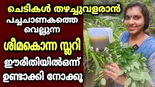 പച്ചചാണകത്തെവെല്ലുന്ന ശീമകൊന്ന സ്ലറി ഉണ്ടാക്കാം| Nitrogen rich fertilizer by using gliricidia leaves