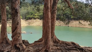 [4K] 城門水塘一圈走（白千層樹林、大草地、水壩）💕💕💕