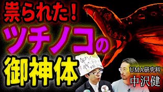 【祟神】祟る！！！ツチノコの御神体【中沢健】