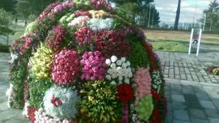 Diseño y decoración de jardines, paisajismo con riego en quito