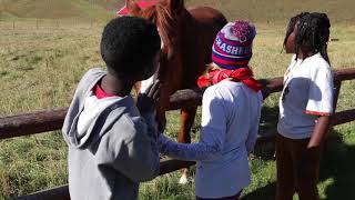 Rodeo School