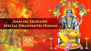 Amalaki Ekadashi Special Dhanvantari Homam