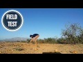 takealot mivision 3730 tripod unbox review field test close up