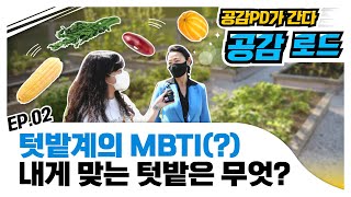 도시 농부를 위한 텃밭 재배모형 5종 추천! 내게 맞는 텃밭이 궁금하다면? | 공감로드