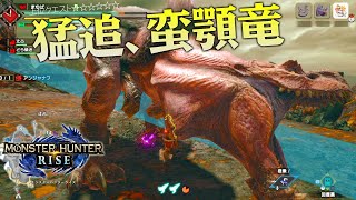 【MHRise】猛追、蛮顎竜【スラアクで上位クエスト/モンハンライズ】