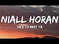 Download Niall Horan Nice To Meet Ya mp3