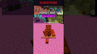 End Changes In New Snapshot And More