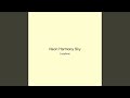 Neon Harmony Sky