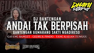 DJ BANTENGAN GAYENG❗[ ANDAI TAK BERPISAH ] VIRAL TIKTOK‼️AND REMIXER @DhaniSquarepants