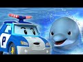 Hayvan Dostlarım│2 Saatlik Derleme│çocuk karikatür│Yunusları Koruyun│Robocar POLI çizgi film