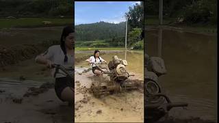 Chinese People Cultivate Paddy In A Unique Way?