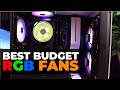 The Budget RGB Fans EVERYBODY Is Talking About Right Now