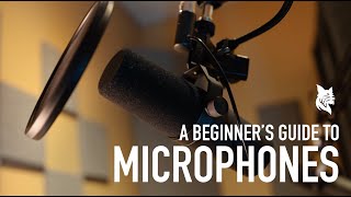 DMS Production Equipment Tutorial   A Beginner's Guide to Microphones