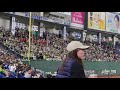 東京ヤクルトスワローズ チャンステーマ3（逆転検事2） u0026チャンステーマ1（夏祭り） 東京ドーム