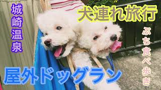 〖トイプードルと旅行🚗💨〗愛犬と行く城崎温泉街とドッグラン🐶💓