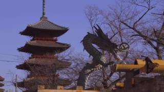 池上本門寺初詣2017酉年 α6500 4K Picture profile7(S-log2) First visit to Ikegami Honmonji temple in 2017