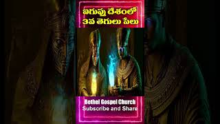 ఐగుప్తు దేశంలో దేవుడు రప్పించిన 3 వ తెగులు పేలు |The 3rd plague that God sent in Egypt was the Ticks