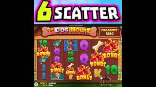 The Dog House Megaways 🐶 Slot Super Rare 6 Scatter Bonus 😱 Omg u have to see this‼️ #shorts