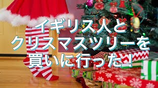 [イギリス日常生活vlog] ロンドン郊外でクリスマスツリーを買う！