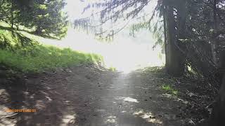 Morzine piste verte 1