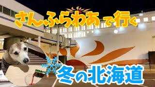 【さんふらわあ で行く冬の北海道🛳】わんこと船上での快適な過ごし方🐾2020年1月〜Go to winter Hokkaido by ferry sunflower〜