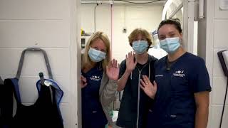 Humane Society For Greater Nashua