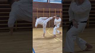 Spinning hook kick tips from my Norway 🇳🇴 Seminar #karate #shotokan #martialarts #kicks #tips