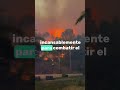 fuerza california oramos por ustedes 🙏🏻 california losangeles incendio fire oracion prayer