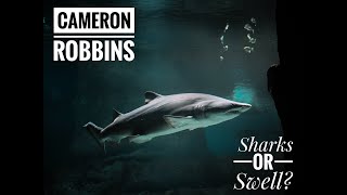 Oceangate submersible vessel | Lost at sea | Did Cameron Robbins drown or was he attacked by sharks?