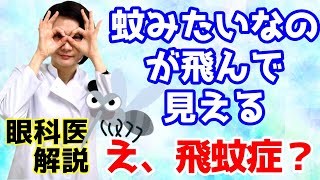 【飛蚊症】蚊みたいなのが飛んで見える。ゴミみたいなのが飛んで見える。これって何ですか？眼科医が解説！