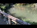 chichibu 秩父市 saitama dji mavic air 2 iphone 11 pro max