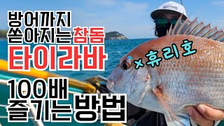 참돔x방어타이라바 이정도는 준비해야 다른사람보다 잘잡을수있습니다!!+여수 휴리호