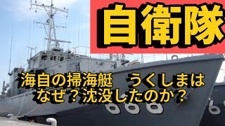 【自衛隊】海自の掃海艇「うくしま」はなぜ？沈没したのか？#自衛隊 #海上自衛隊 #ミリタリー