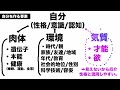 【四柱推命】占いで人生は決まってる？占いのメリットって？現役占い師が徹底解説 【人生活用編】