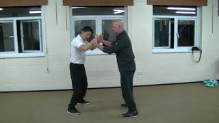 Wing Chun Tan Sau Internal Mechanics
